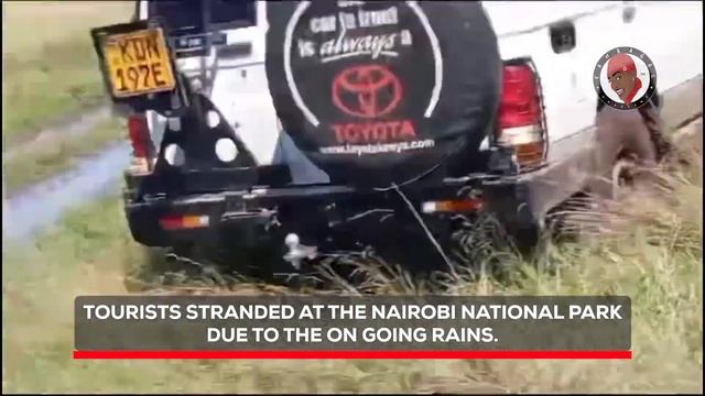 TOURISTS STRANDED AT THE NAIROBI NATIONAL PARK DUE TO THE ONGOING RAINS. смотреть онлайн