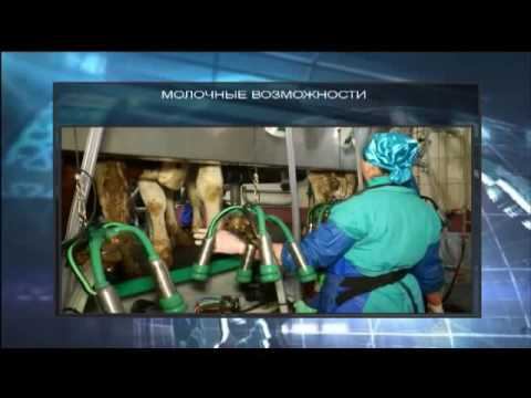 Смотрите сегодня в итоговом выпуске новостей 20:30 (26.12.2016 г.) смотреть онлайн