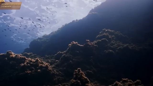 Климат не меняется смотреть онлайн