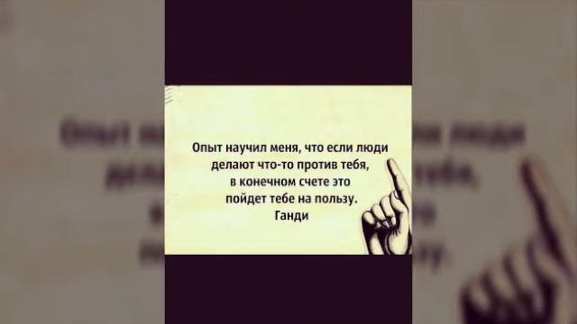 Мудрые цитаты смотреть онлайн