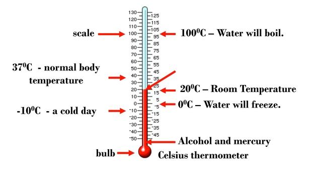 Reading and Measuring Temperature Using Thermometer (Alcohol and/or Digital) in Degree Celsius смотреть онлайн
