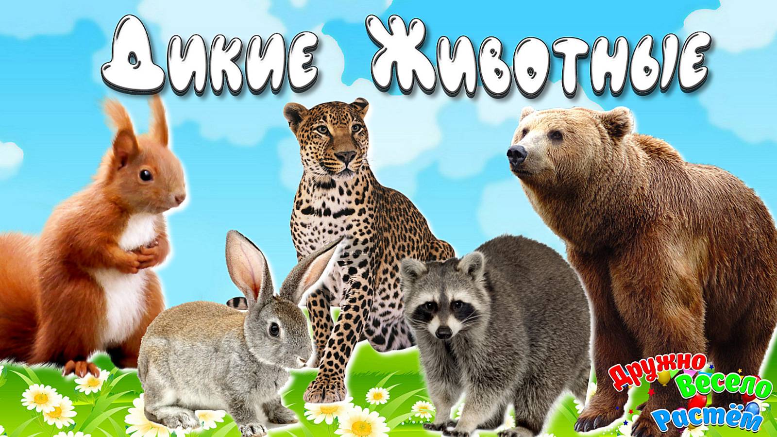 Хищники + Дикие Животные + Развивающие Видео для Детей + Звуки и Голоса Животных смотреть онлайн