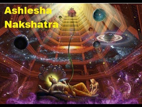 Characteristics of Ashlesha Nakshatra смотреть онлайн
