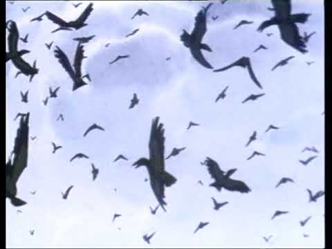 Фока на все руки дока смотреть онлайн