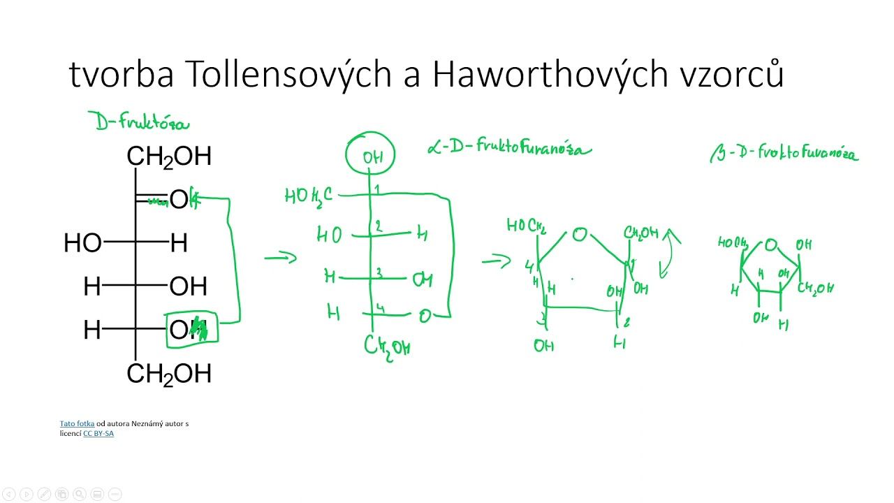 Sacharidy IV - cyklické vzorce monosacharidů, Tollens, Haworth смотреть онлайн