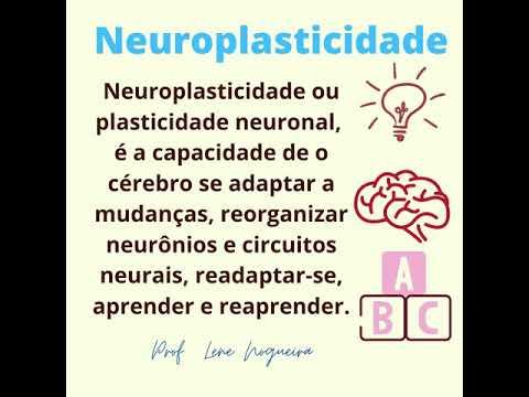 Neuroplasticidade e Educação смотреть онлайн