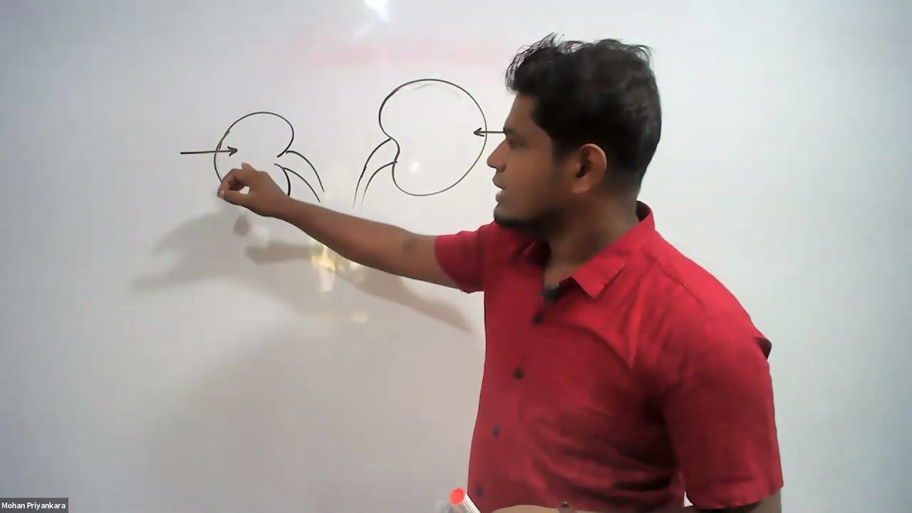 8 ශ්රේණිය - විද්යාව - මානව ඉන්ද්රිය පද්ධති - 01 2021/08/29 смотреть онлайн