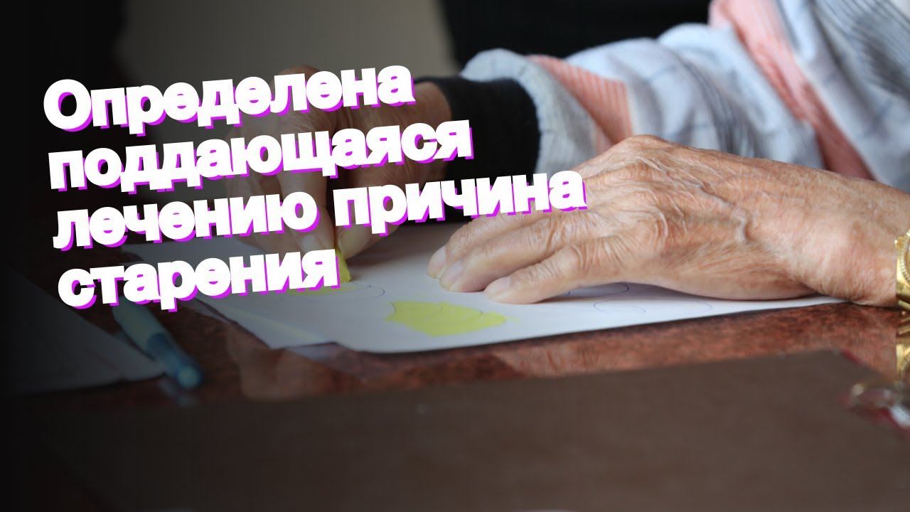 Определена поддающаяся лечению причина старения смотреть онлайн