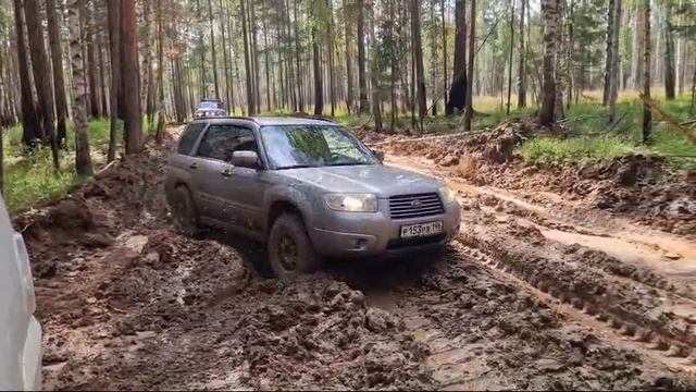 Offroad Forester SG глина