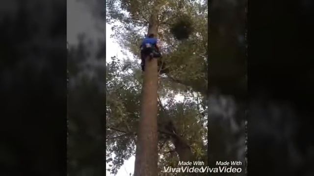 5 декабря 2016 г. смотреть онлайн