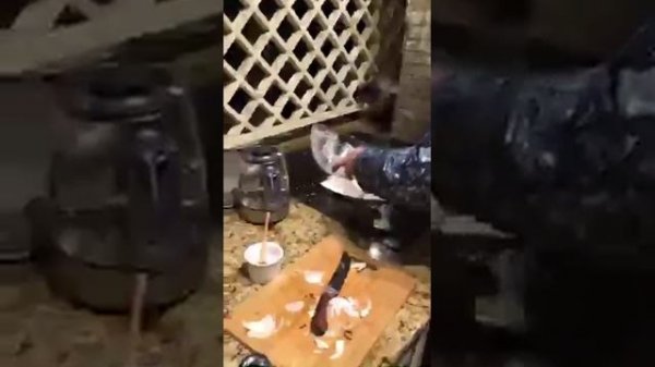 Alana Mamaeva Плов