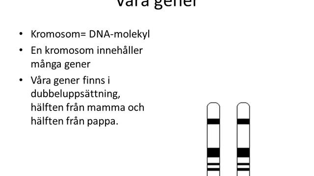 Grundläggande genetik смотреть онлайн