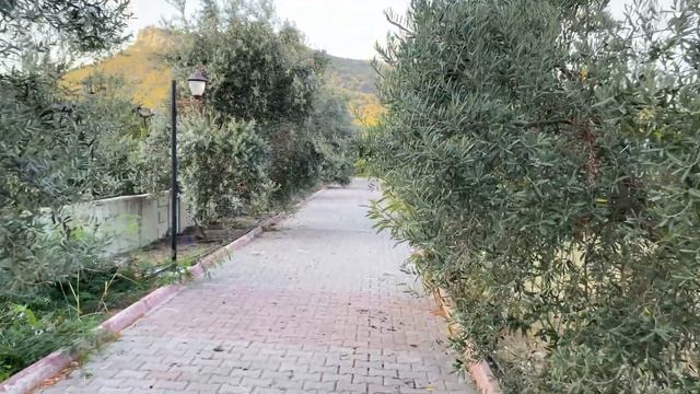 Обзор отеля MIRAMOR GARDEN RESORT HOTEL 4* Турция Кемер 2024