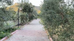 Обзор отеля MIRAMOR GARDEN RESORT HOTEL 4* Турция Кемер 2024