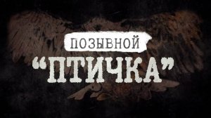 Позывной «Птичка» | История рядового Прокопенко и волонтёра-санитара Полины