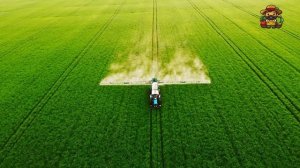 Как делают чипсы Lays