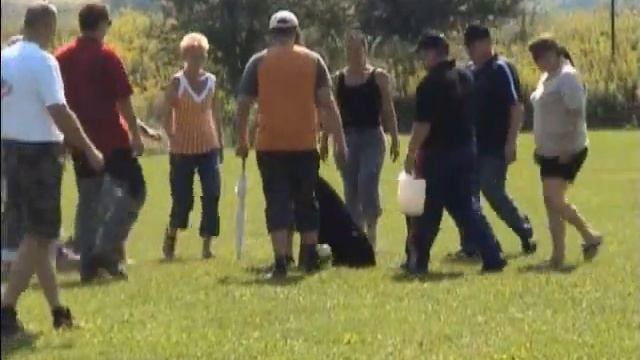 ZTP TEST Chagall Best of Milano V1A смотреть онлайн