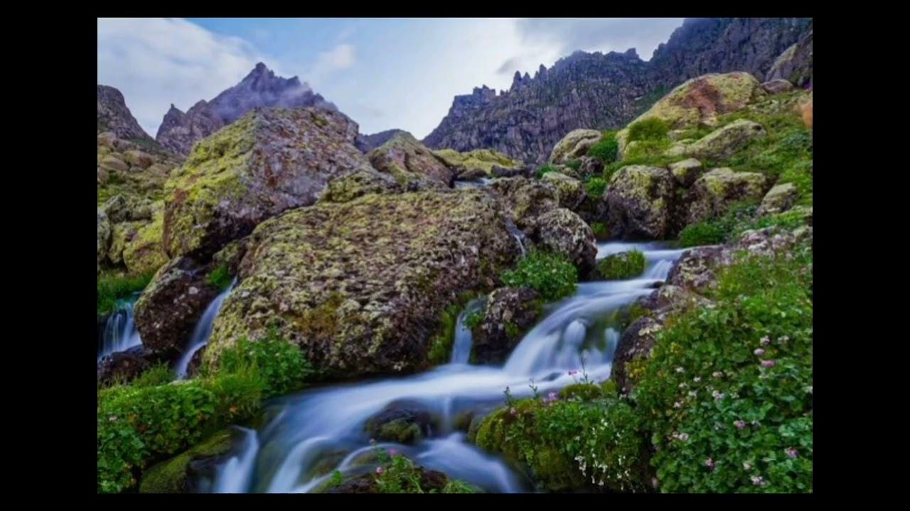 Навчальний диктант 5 клас НУШ  Гірський струмочок