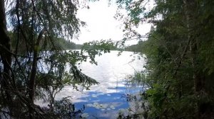 Подобрав на свалке сироту, Влад, спеша к умирающей дочке, взял её с собой. А едва та прочла на...