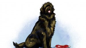 Михаил Зощенко. Рассказы для детей. Умные животные. Умная Собака