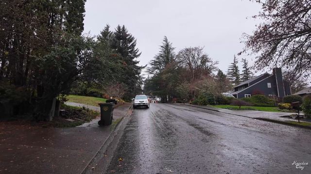 🇺🇸 Портленд, Орегон - дождливая прогулка по району Сидар-Милл (декабрь 2024) 4K