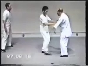 Мастер тайцзицюань Хуан Шен Сян демонстрирует технику туйшоу