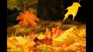 ОСЕННИЙ ЛИСТОПАД  сл.и муз.О.Каледин  исп.Игорь Иванников