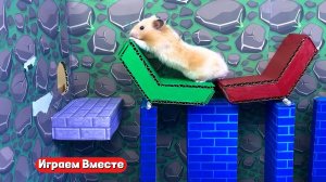 Хомяк попал в ЛАБИРИНТ С КРУТЫМИ ПРЕПЯТСТВИЯМИ ! Выбираемся из лабиринта вместе ! часть 2