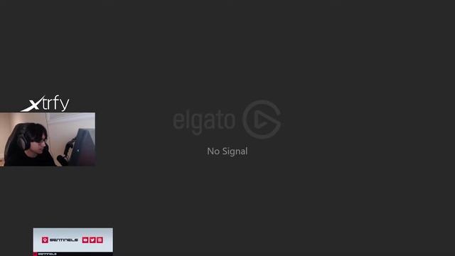 TenZ Hentai History Leaked - Man Of Culture