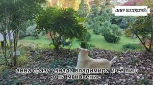 Возвращаясь от родителей, Владимир просто помог расстроенной незнакомке. Но на следующий день