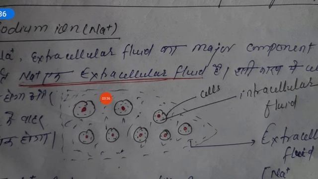 Role of metal ion in biological system|Role of Na-K ion in biological System|By Lakshman Sir смотреть онлайн