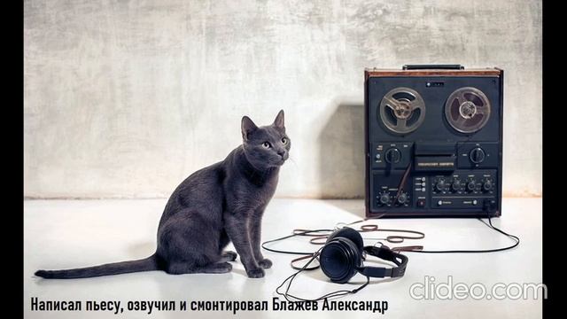 Котёнок и Чудо Радио смотреть онлайн