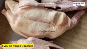 СКОЛЬКО ВЕСИТ ОГРОМНЫЙ ГУСЬ//Сколько весит тушка Гуся//Самый крупный домашний гусь