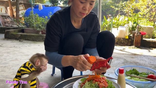 Baby monkey TINA loved the salad her mother made so much and ate a lot of it. смотреть онлайн