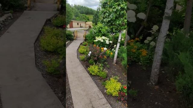 прогулка по Алтайскому холмогорью смотреть онлайн