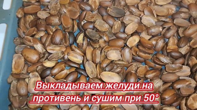 Кофе из желудей Вкусный, ароматный и полезный кофе Больше не покупаю обычный кофе 😌 смотреть онлайн