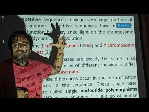 Human genome project by Prof.Rajan Sharma смотреть онлайн
