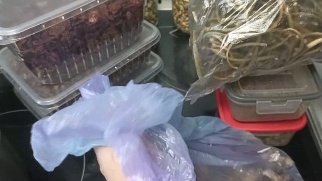 Мнение о дегидраторе Libhof FDA-10, смеси  приправ для супов и мяса. #дегидратор, #LibhofFDA-10.