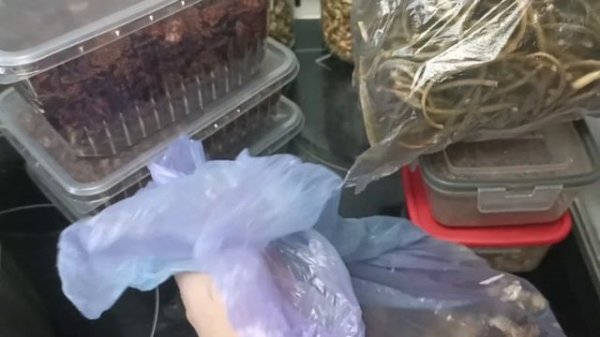 Мнение о дегидраторе Libhof FDA-10, смеси  приправ для супов и мяса. #дегидратор, #LibhofFDA-10.