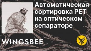 Автоматическая сортировка PET-тары. Оптические сепараторы WINGSBEE https://оптический-сепаратор.рф/