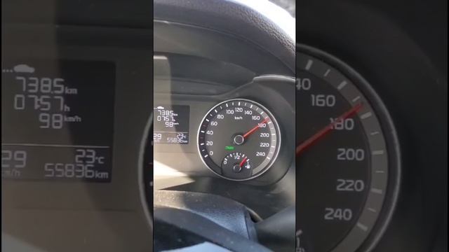 Petal_20241203_135137.mp4