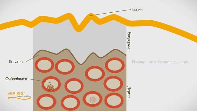 QYRA / Verisol Хелиос Медикал смотреть онлайн