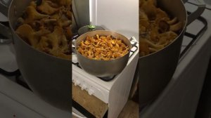 Лисички на хранение