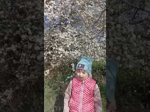 Стихотворение Н.Забила "Наша Родина" смотреть онлайн