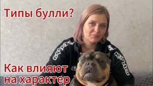 Типы американских булли, отличия по характеру и темпераменту. О породе американский булли.