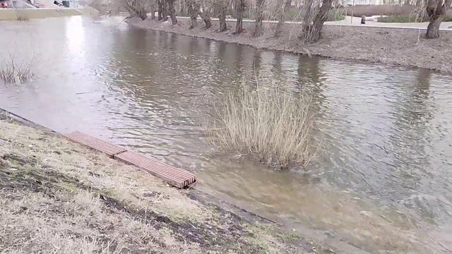 разлив исети2 смотреть онлайн