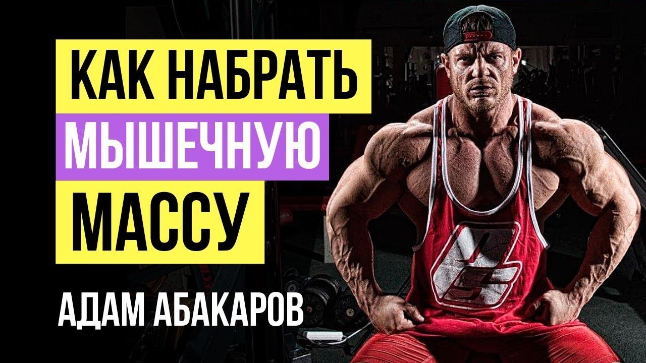 Комфортная эволюция