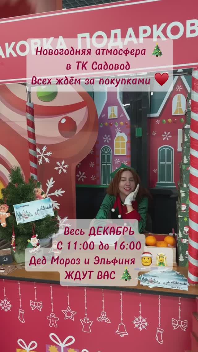 НОВОГОДНЯЯ ФОТОЗОНА НА РЫНКЕ САДОВОД✨ смотреть онлайн