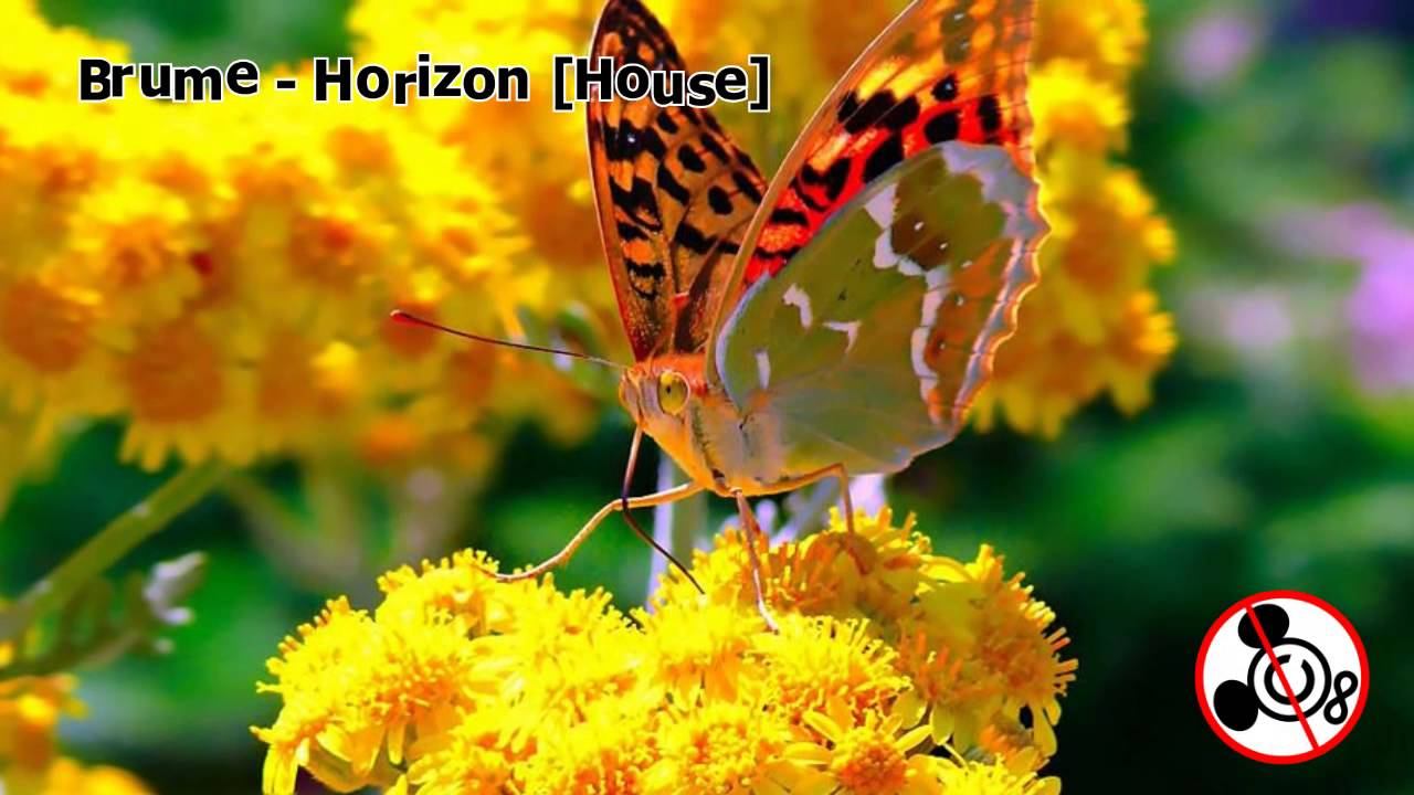 Brume - Horizon [House] no copyright music for youtube смотреть онлайн