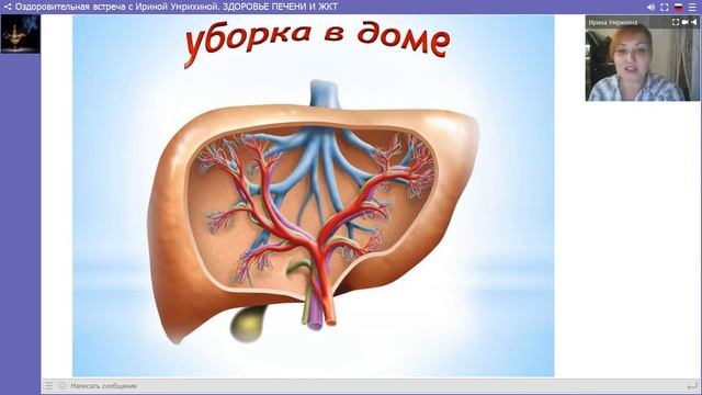 Здоровье печени и ЖКТ